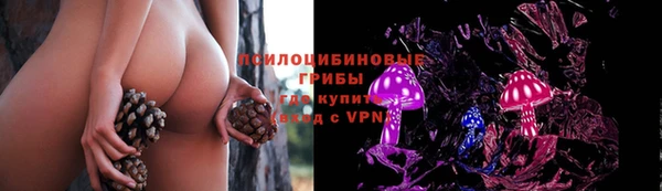 герыч Арсеньев