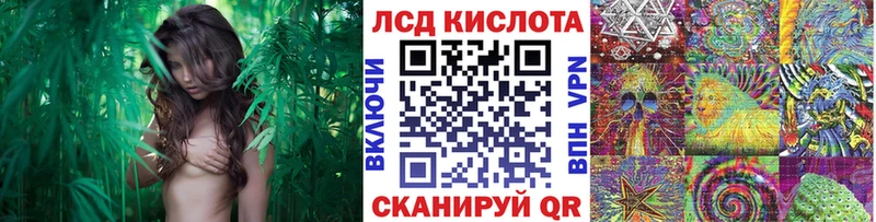 Наркотические марки 1,8мг  Купить закладки  Всеволожск 